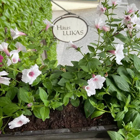 Haus Lukas 3* هوبفغراتن إم بريكسنتال