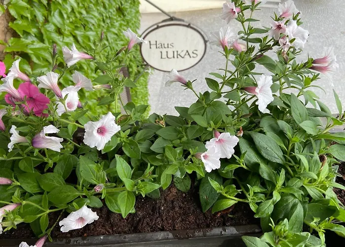 Haus Lukas 3* Hopfgarten im Brixental